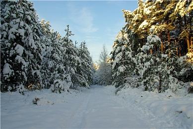 《泰坦之旅2》Steam特别好评 国内玩家呼吁加入中文