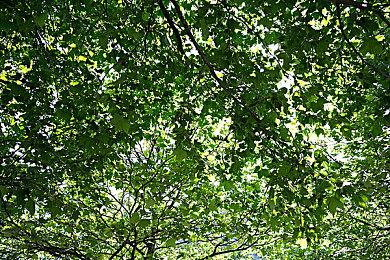 或受关税政策影响 索尼在多个地区提高PS Plus价格